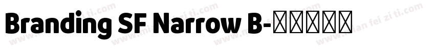 Branding SF Narrow B字体转换